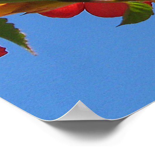 Trumpet Vine Blume Poster (Ecke)