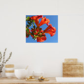 Trumpet Vine Blume Poster (Küche)