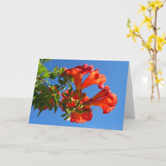 Trumpet-Weinkarte und Honeysuckle-Karte Karte (Gelbe Blume)