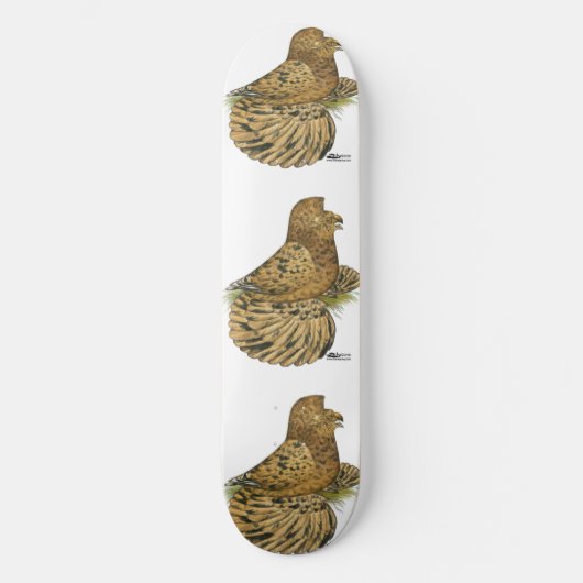 Trumpeter Pigeon Almond Skateboard (Vorderseite)