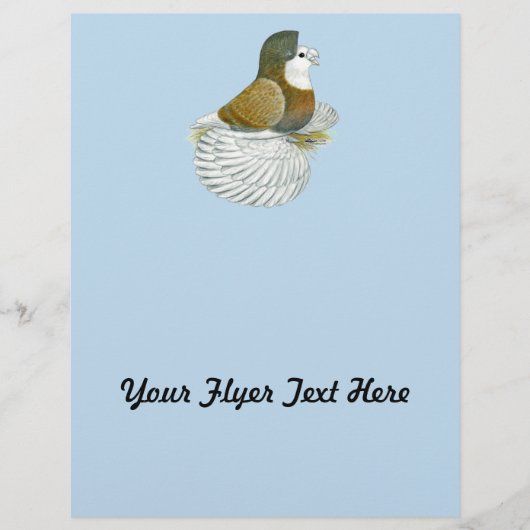 Trumpeter Pigeon AOC Baldhead Flyer (Vorne)