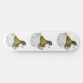 Trumpeter Pigeon AOC Baldhead Skateboard (Horizontal)