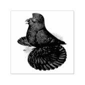 Trumpeter Pigeon Black Permastempel (Design)