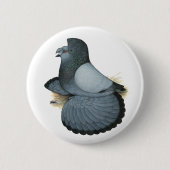 Trumpeter Pigeon Blue Barless Button (Vorderseite)