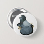 Trumpeter Pigeon Blue Barless Button (Vorne & Hinten)