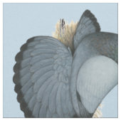 Trumpeter Pigeon Blue Barless Stoff (Nahaufnahme)