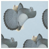 Trumpeter Pigeon Blue Barless Stoff (Muster)
