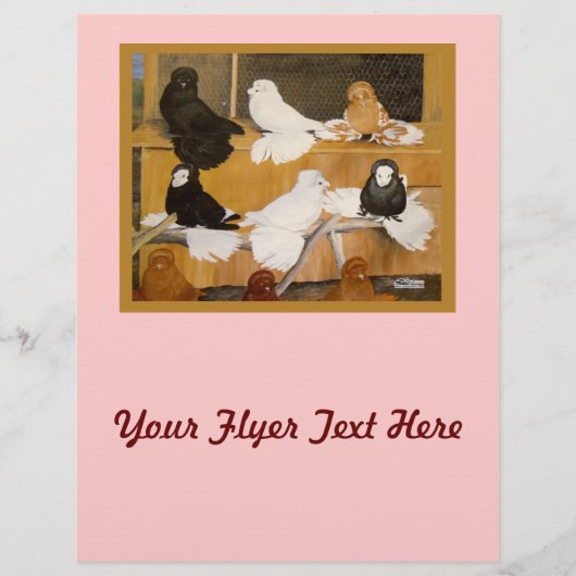 Trumpeter Pigeon Champions Flyer (Vorne)