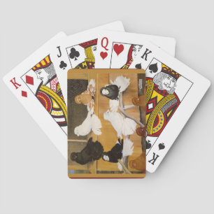 Trumpeter Pigeon Champions Spielkarten