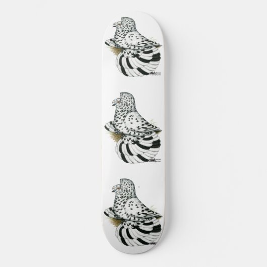 Trumpeter Pigeon Light Splash Skateboard (Vorderseite)