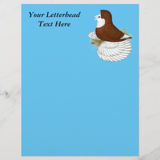 Trumpeter Pigeon Red Baldhead (Vorderseite)