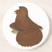 Trumpeter Pigeon Red Sandstein Untersetzer (Vorne)