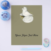 Trumpeter Pigeon White Flyer (Einzeln)