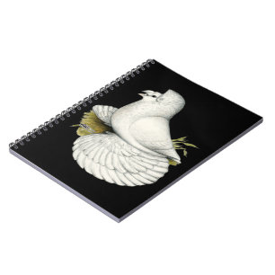 Trumpeter Pigeon White Notizblock