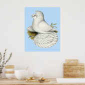 Trumpeter Pigeon White Poster (Küche)