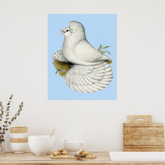 Trumpeter Pigeon White Poster (Küche)