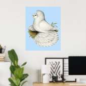 Trumpeter Pigeon White Poster (Heimbüro)