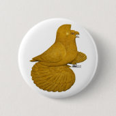 Trumpeter Pigeon Yellow Button (Vorderseite)