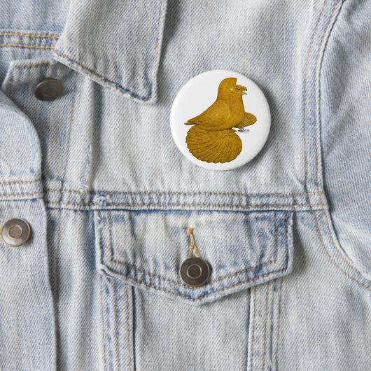 Trumpeter Pigeon Yellow Button (Beispiel)