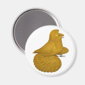 Trumpeter Pigeon Yellow Magnet (Vorderseite/Rückseite)