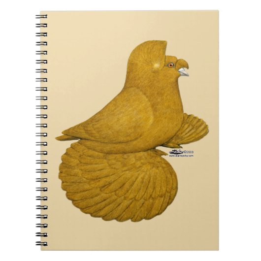 Trumpeter Pigeon Yellow Notizblock (Vorderseite)