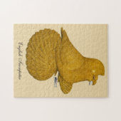 Trumpeter Pigeon Yellow Puzzle (Horizontal)