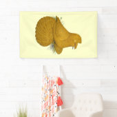 Trumpeter Pigeon Yellow Self Banner (Insitu)