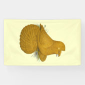 Trumpeter Pigeon Yellow Self Banner (Horizontal)