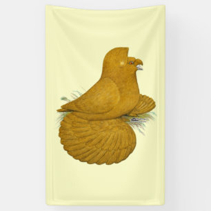 Trumpeter Pigeon Yellow Self Banner