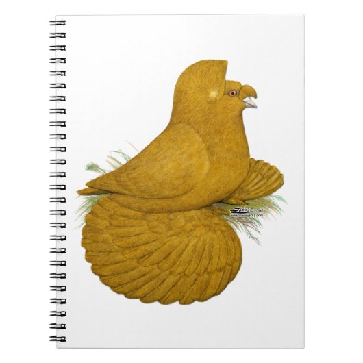 Trumpeter Pigeon Yellow Self Notizblock (Vorderseite)