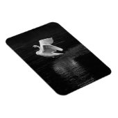 Trumpeter Swan b/w Magnet (Rechte Seite)