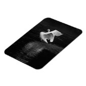Trumpeter Swan b/w Magnet (Linke Seite)