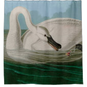 Trumpeter Swan Birds of America Audubon Print Duschvorhang (Vorderseite)