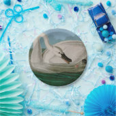 Trumpeter Swan Birds of America Audubon Print Pappteller (Party)