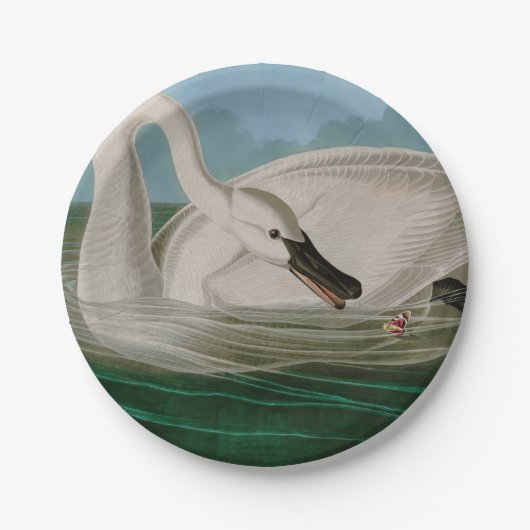 Trumpeter Swan Birds of America Audubon Print Pappteller (Vorderseite)