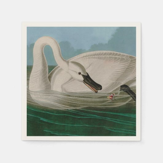 Trumpeter Swan Birds of America Audubon Print Serviette (Vorderseite)