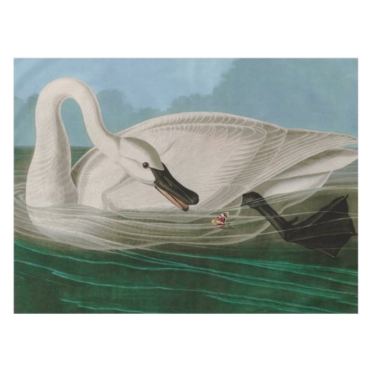Trumpeter Swan Birds of America Audubon Print Tischdecke (Vorderseite (Horizontal))