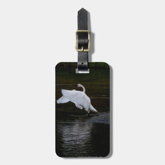 Trumpeter Swan Gepäckanhänger (Vorderseite vertikal)