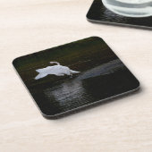 Trumpeter Swan Getränkeuntersetzer (Linke Seite)