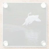 Trumpeter Swan Glasuntersetzer (Rückseite)