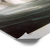 Trumpeter Swan, John James Audubon Poster (Ecke)