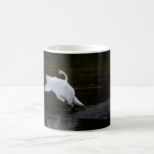 Trumpeter Swan Kaffeetasse (Mittel)