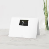 Trumpeter Swan Karte (Rückseite)