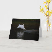 Trumpeter Swan Karte (Gelbe Blume)