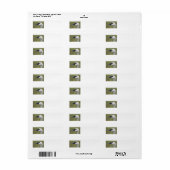Trumpeter Swan Labels (Vorne)