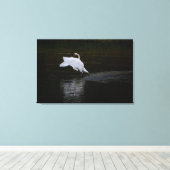 Trumpeter Swan Leinwanddruck (Insitu (Holzboden))