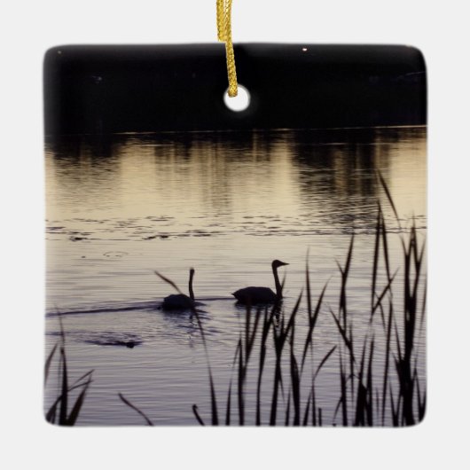 Trumpeter Swan Ornament (Vorderseite)