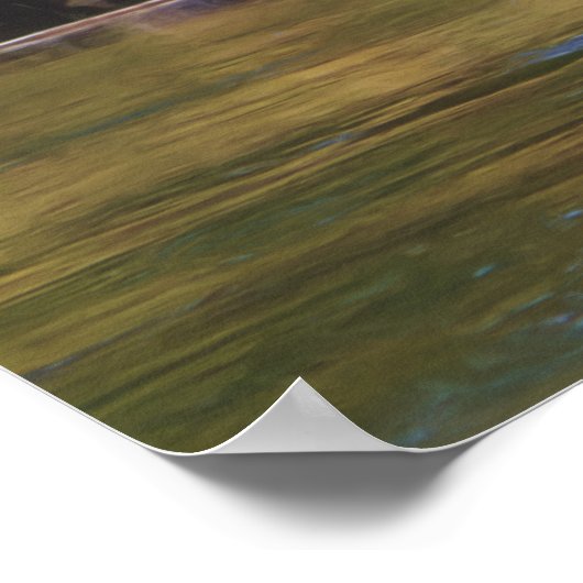 Trumpeter Swan Poster (Ecke)