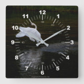 Trumpeter Swan Quadratische Wanduhr (Vorderseite)
