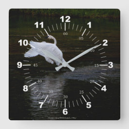Trumpeter Swan Quadratische Wanduhr